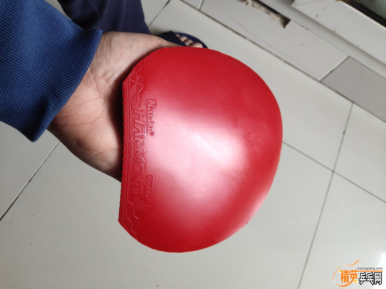 IMG_20190416_162219.jpg