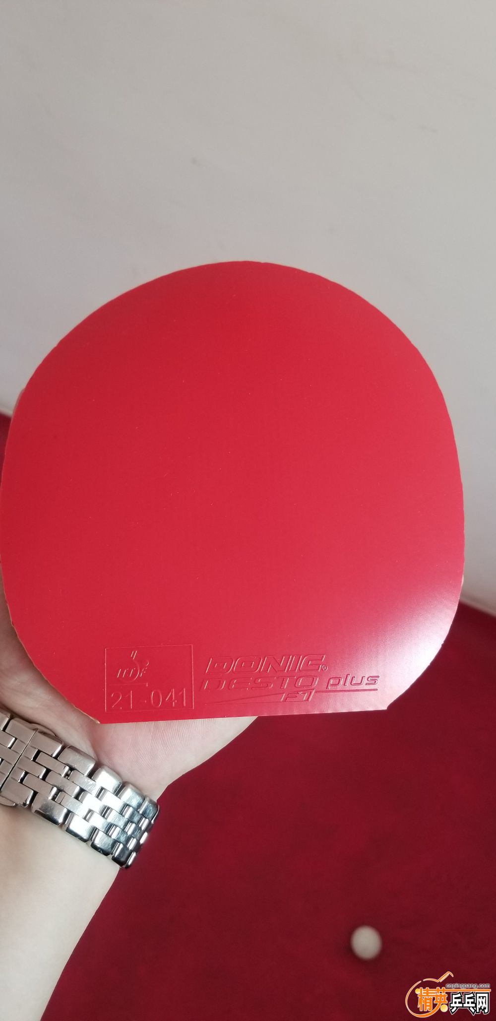 20190418_153315.jpg