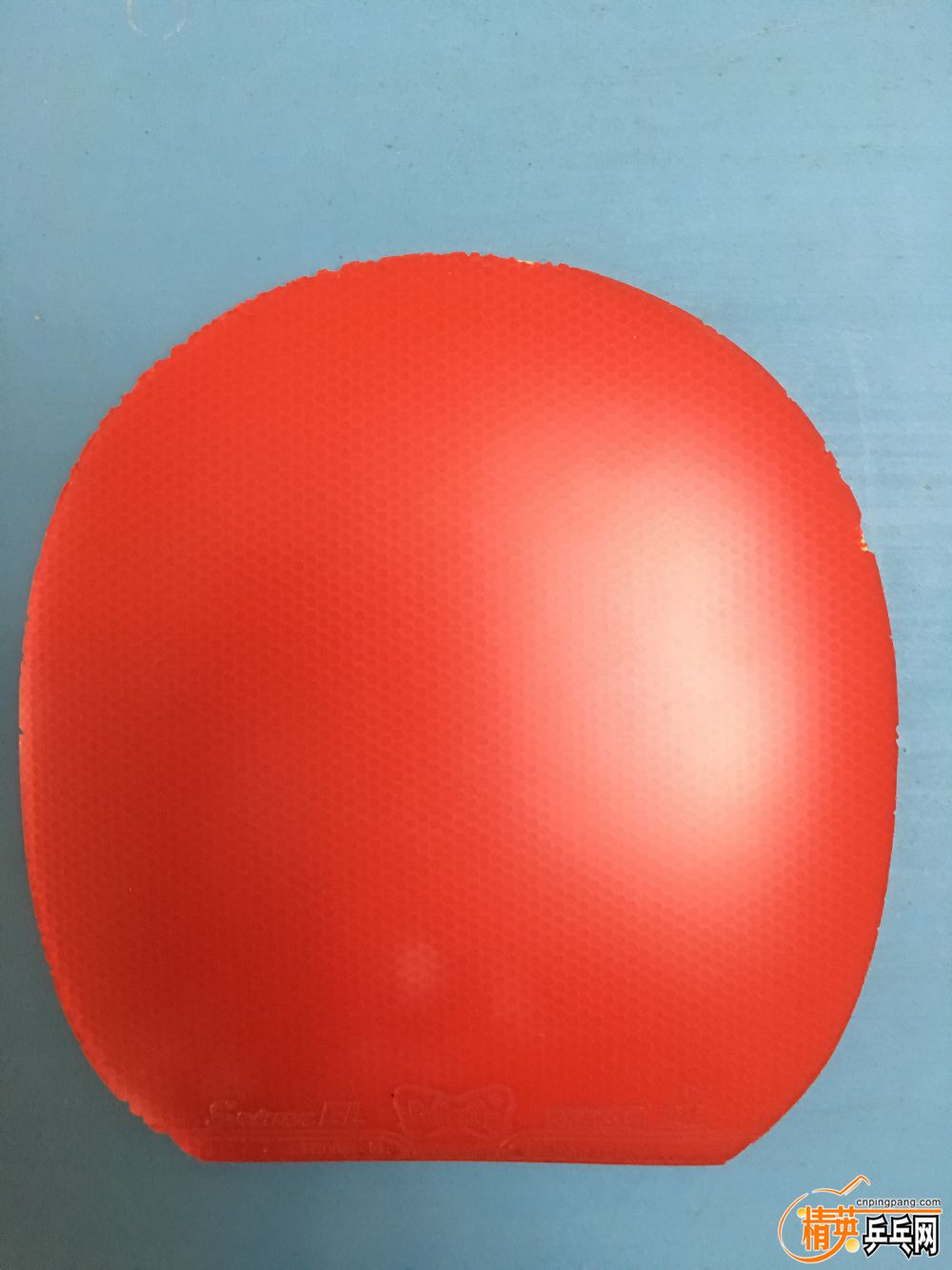 134E70D8-B7AC-4AEF-92BE-1211690A6554.jpeg