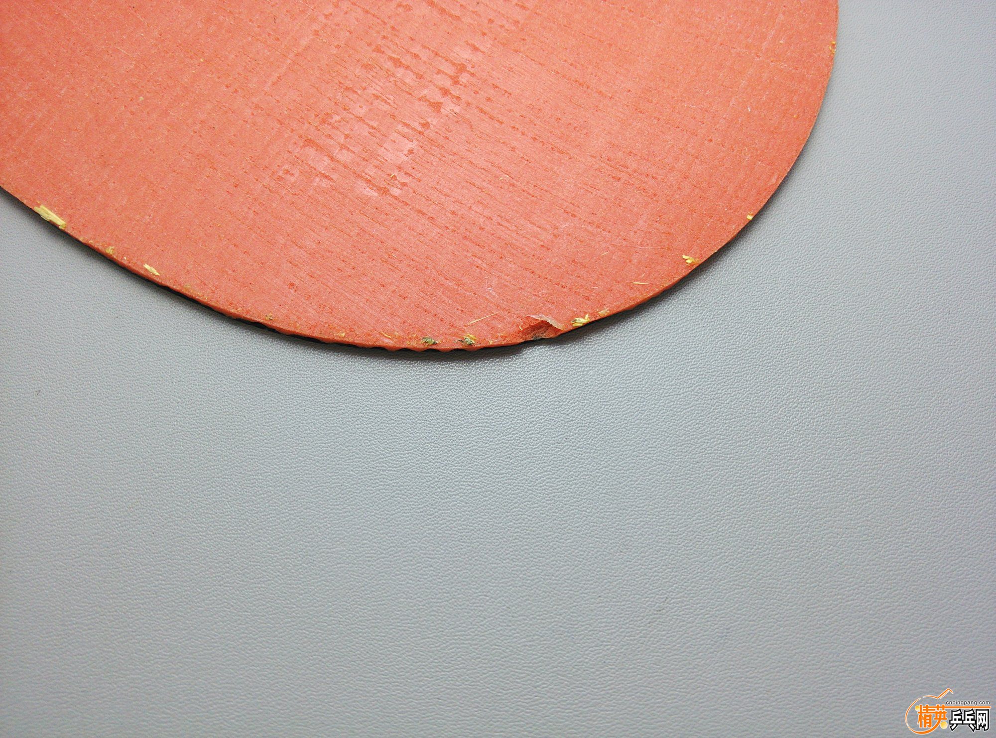 dsc_46676.jpg