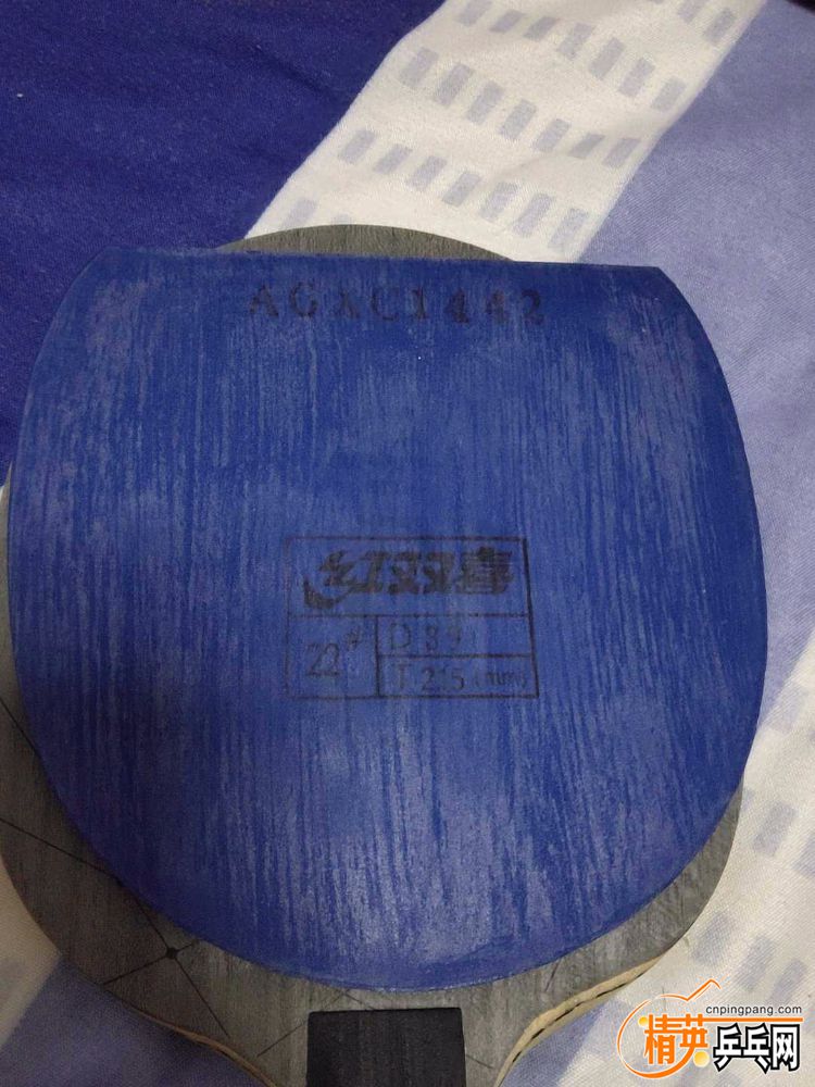 1555979517676.jpg