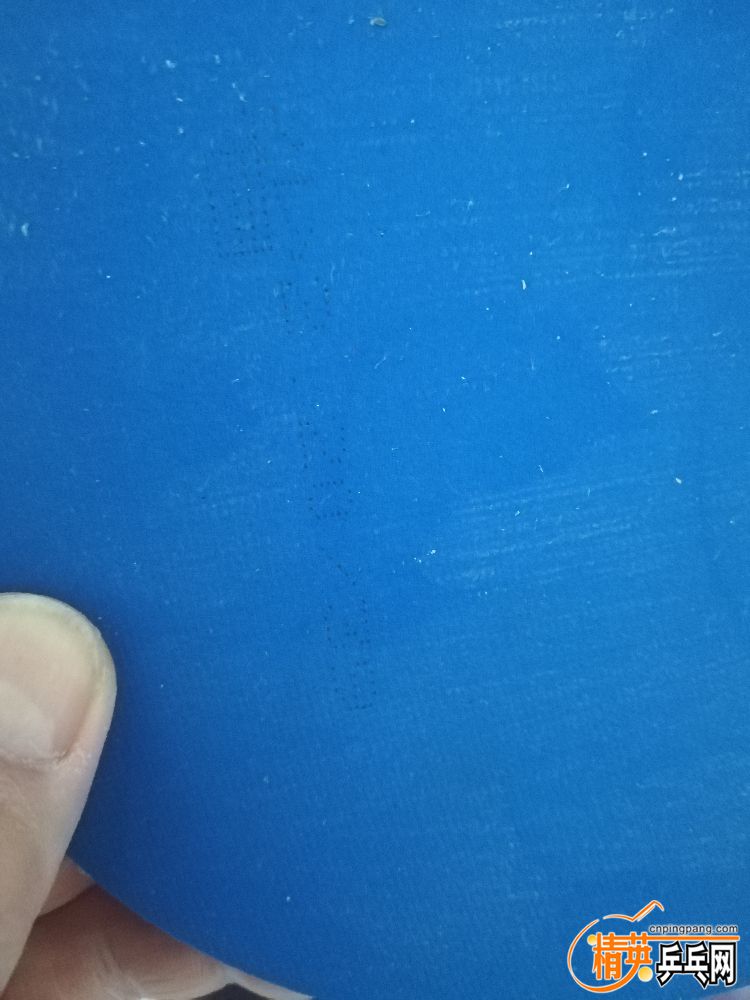 IMG_20190426_083603.jpg