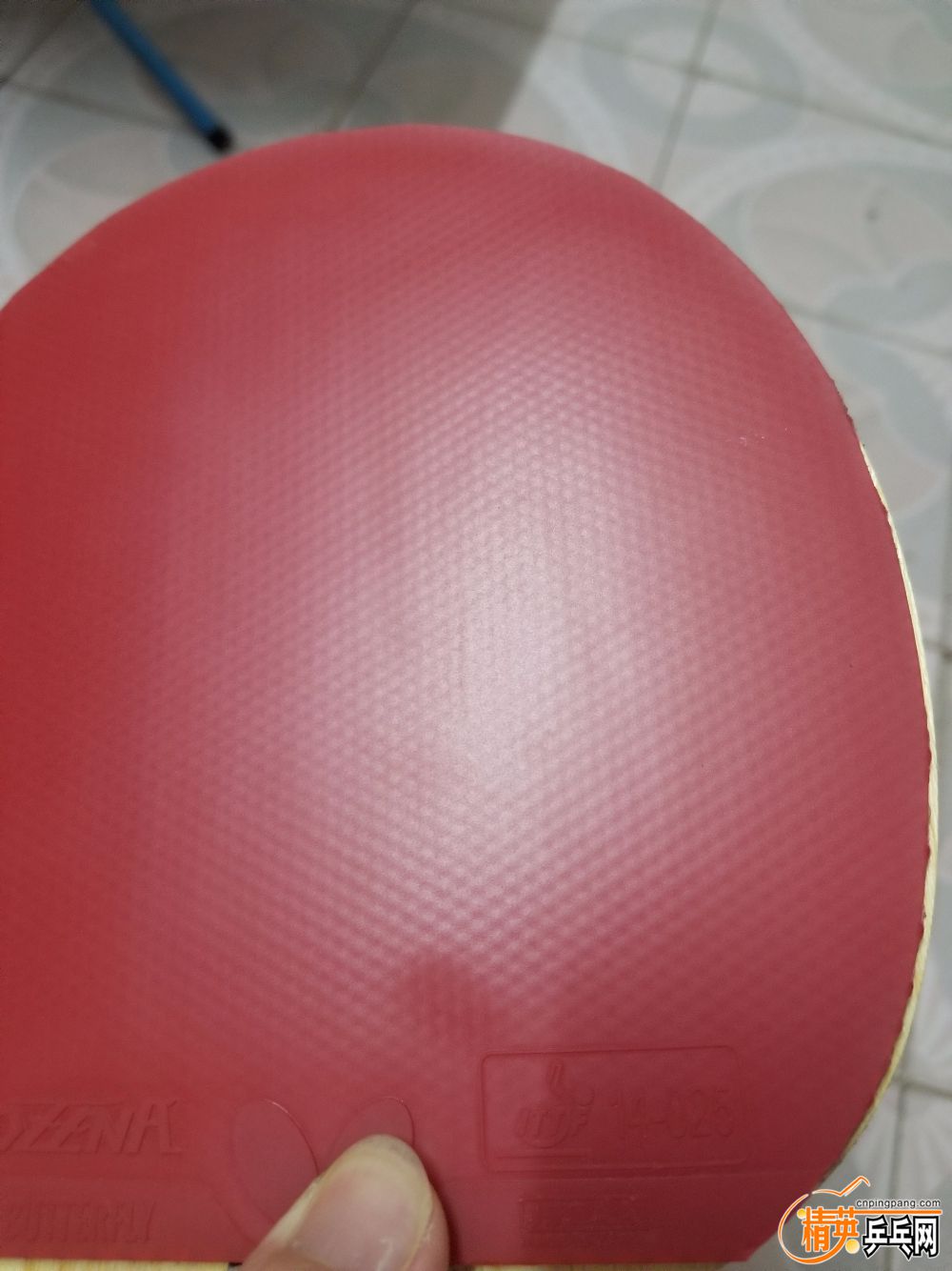 20190425_220115.jpg