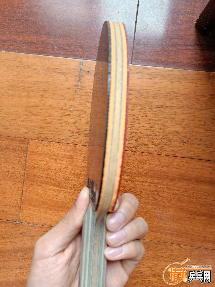 IMG20190429114419.jpg
