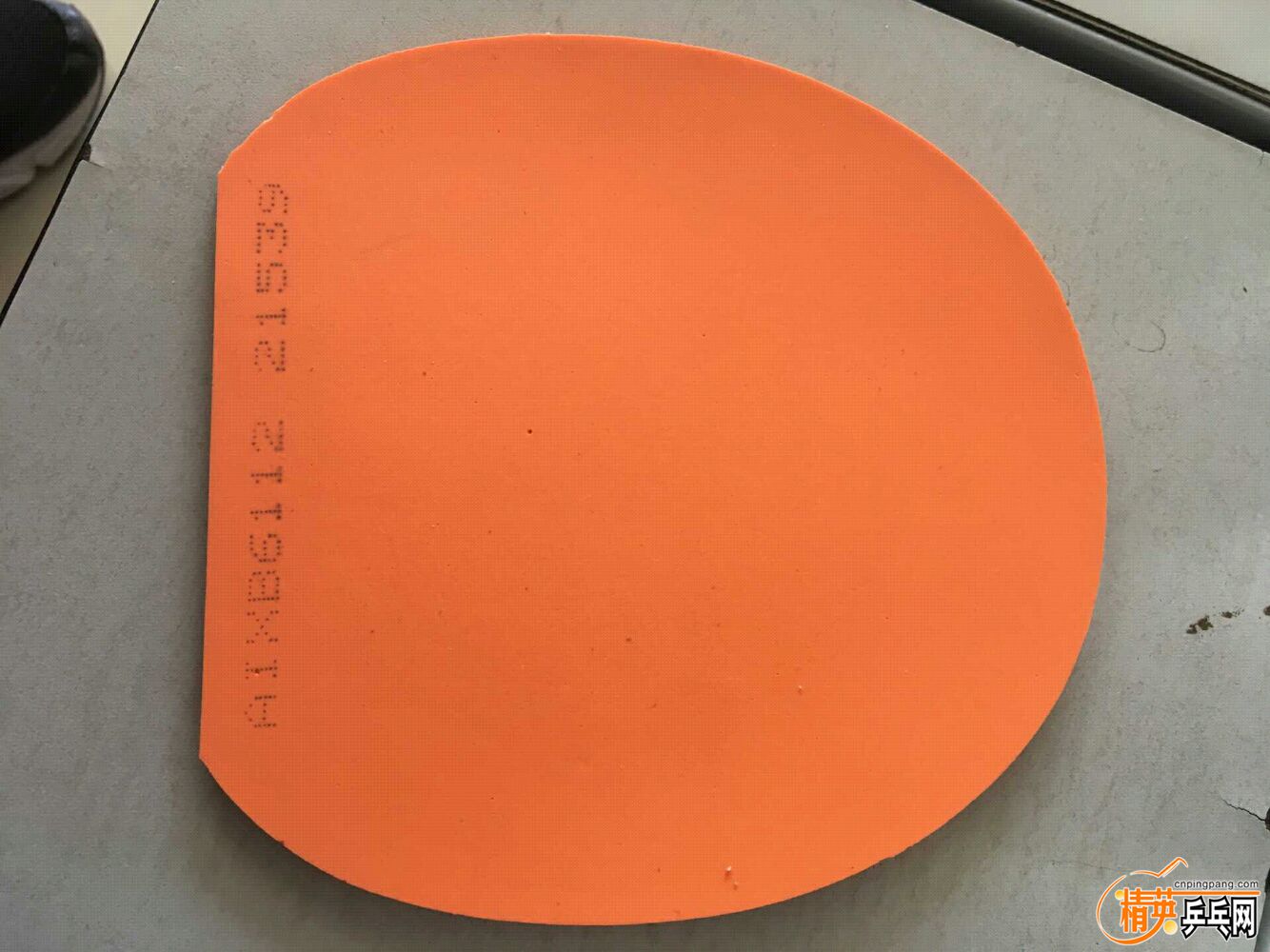 1557426271916.jpg
