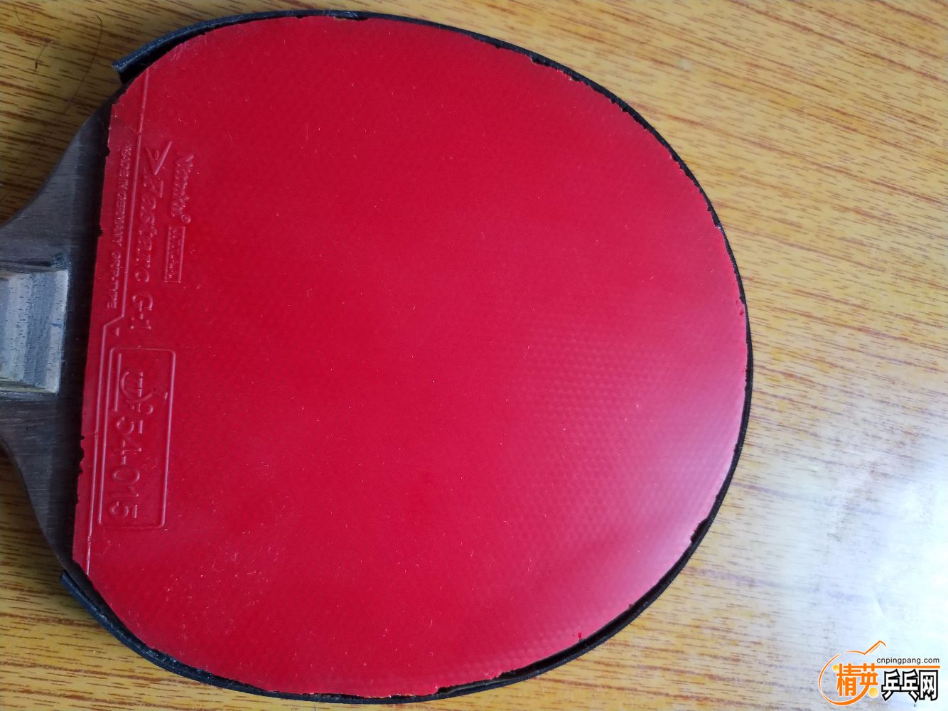 P90509-093246.jpg