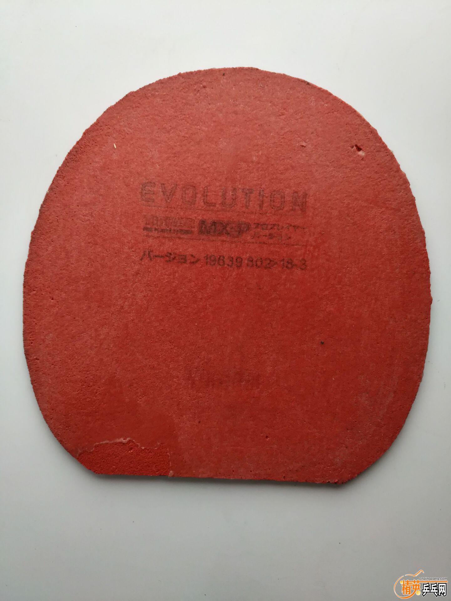 B44E3D755A613ACBB23DA40F8421B302.jpg