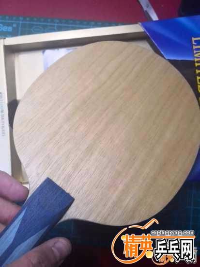 20190523101730-forum.jpg