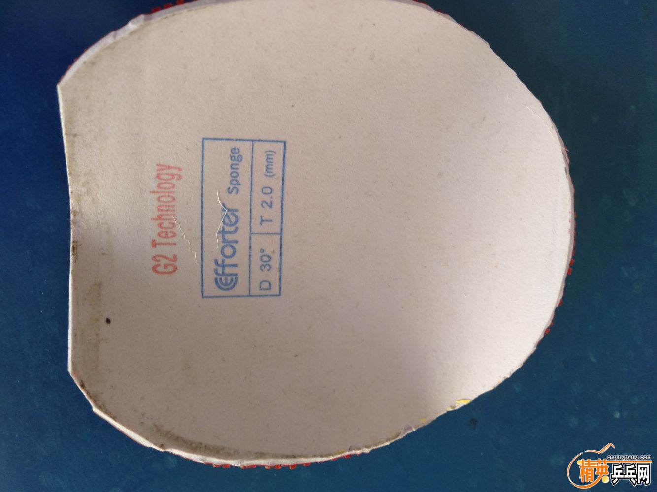 IMG20190524102951.jpg