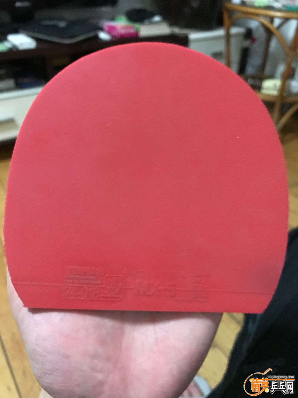 19597216-B382-477F-B9D9-FF877040F00B.jpeg