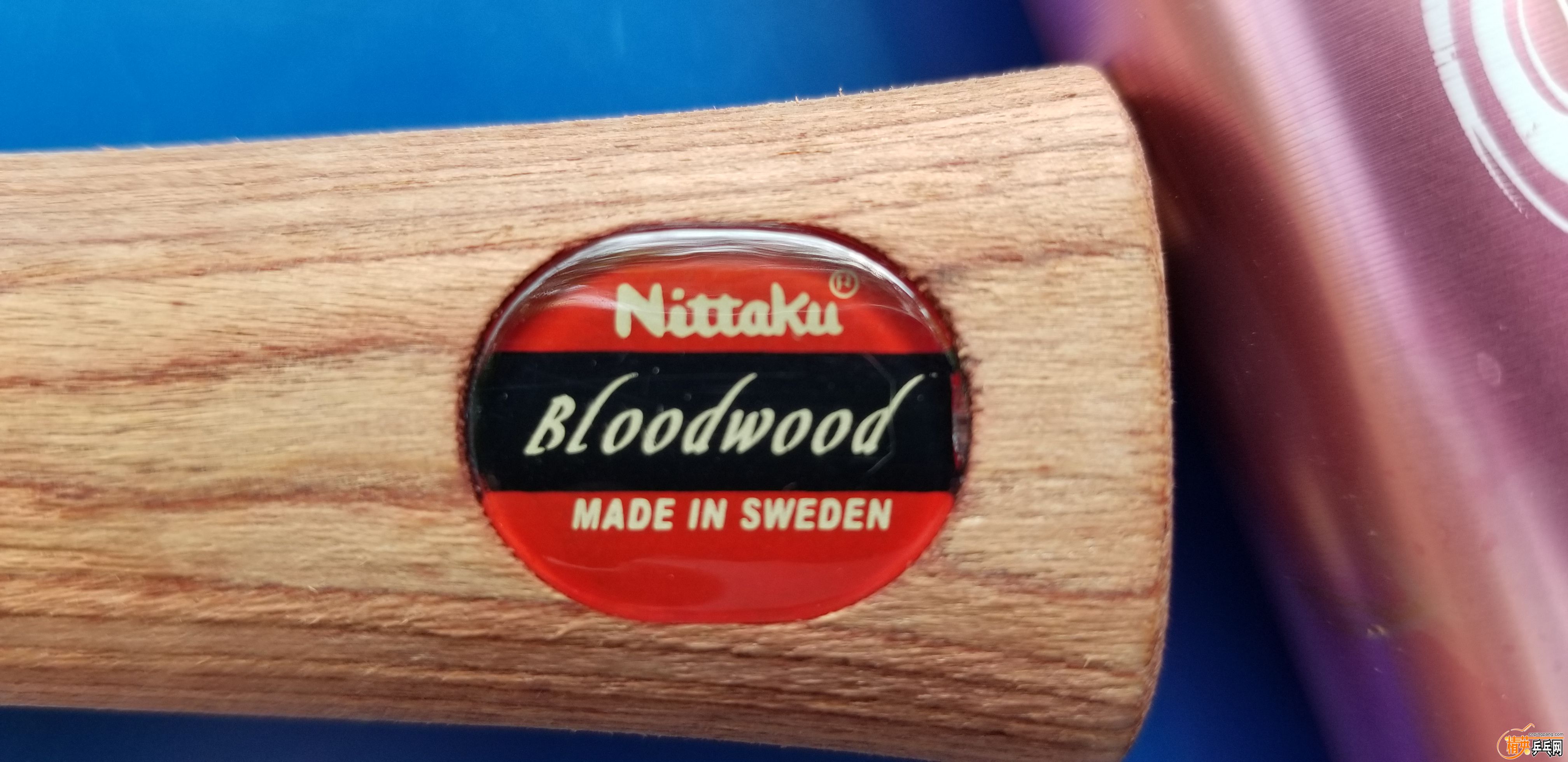 20190523_153316.jpg