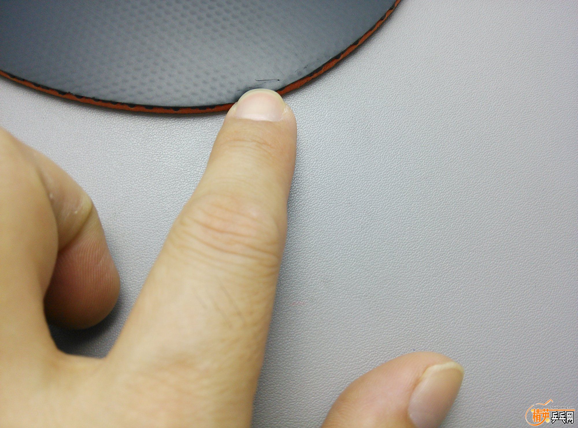 dsc_47169.jpg