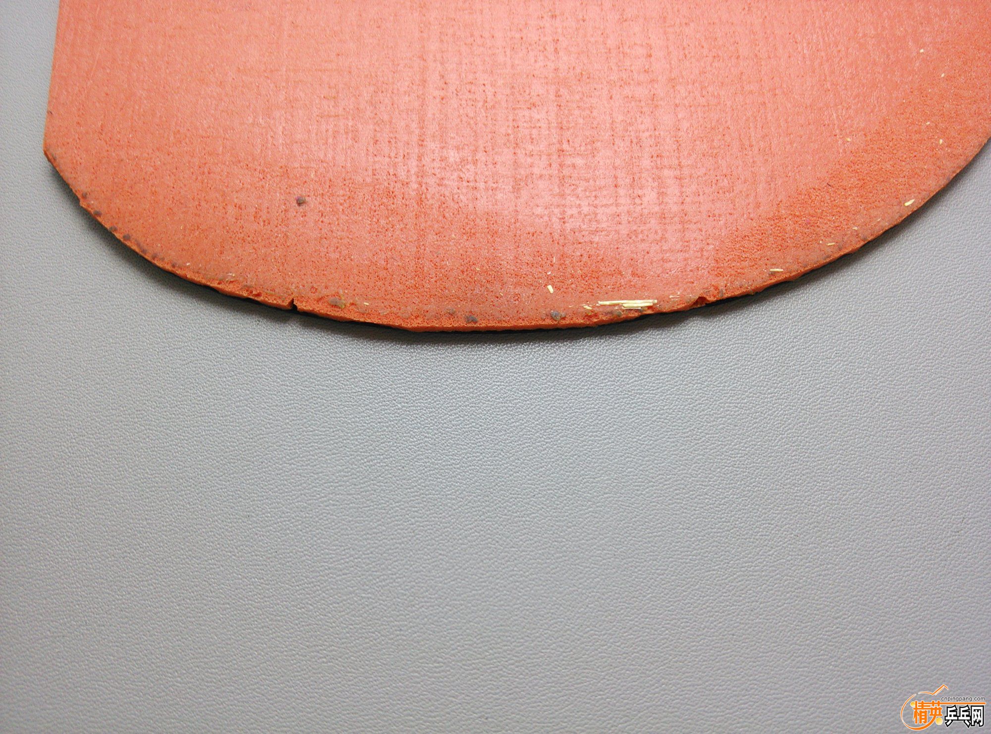 dsc_47172.jpg