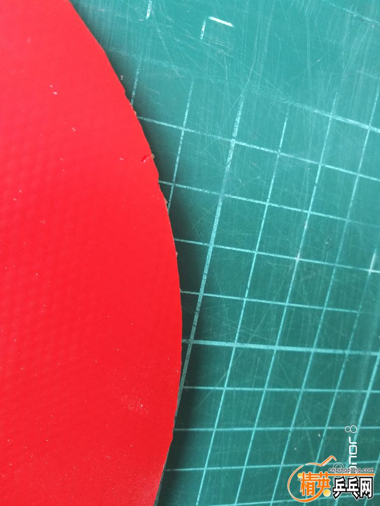 IMG_20190606_130844.jpg