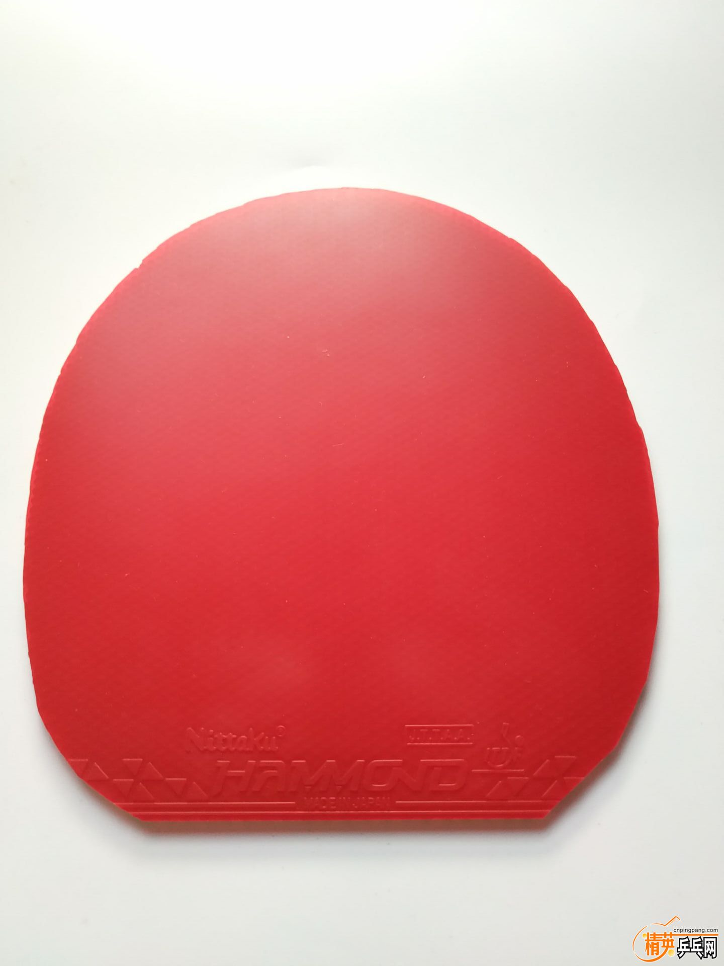 A0EF54F395F8C91B2EBC2ABAFF9DC018.jpg