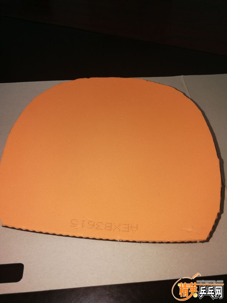 1561174999726.jpg
