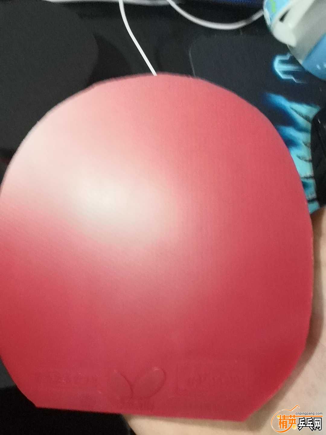 255892779029858784.jpg