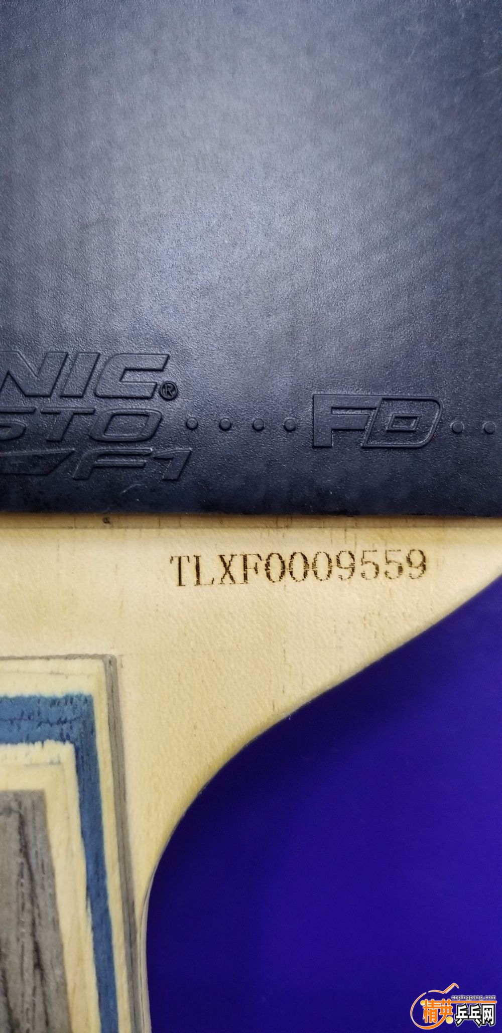 20190703_205131.jpg