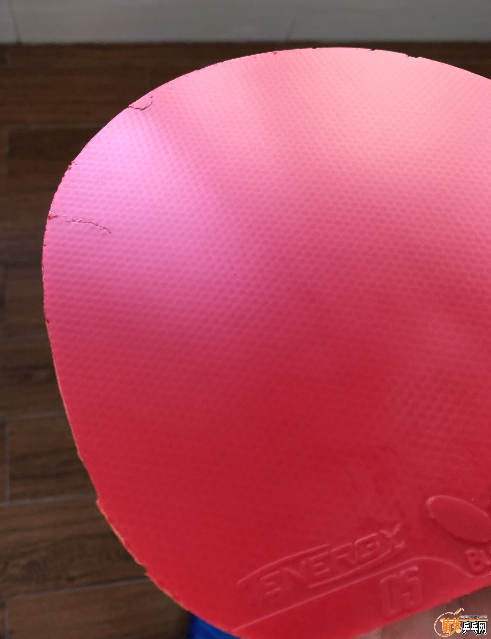 43CC031A-4B79-4DDB-83F1-B041D9794493.jpeg