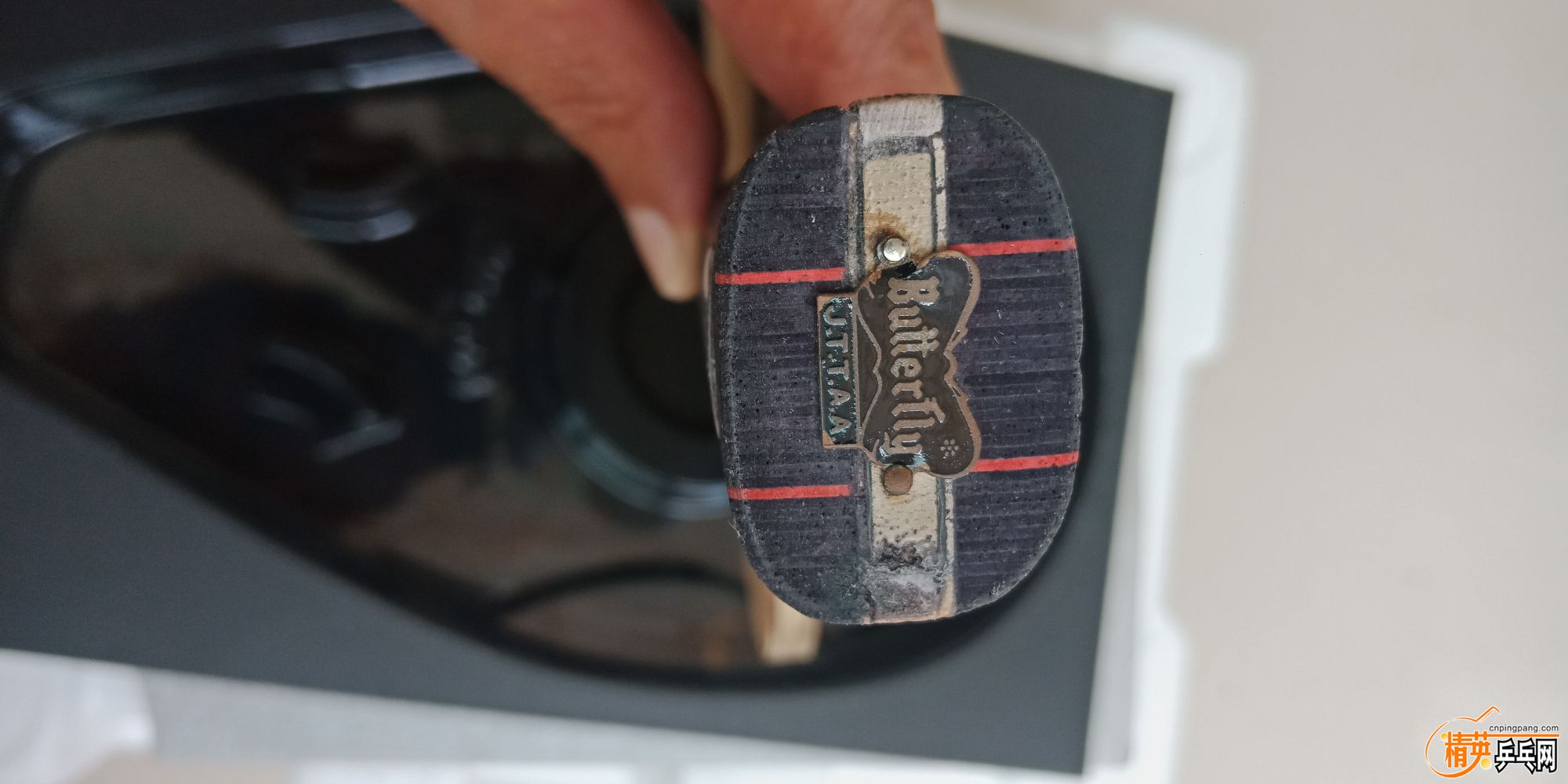 IMG20190718115547.jpg