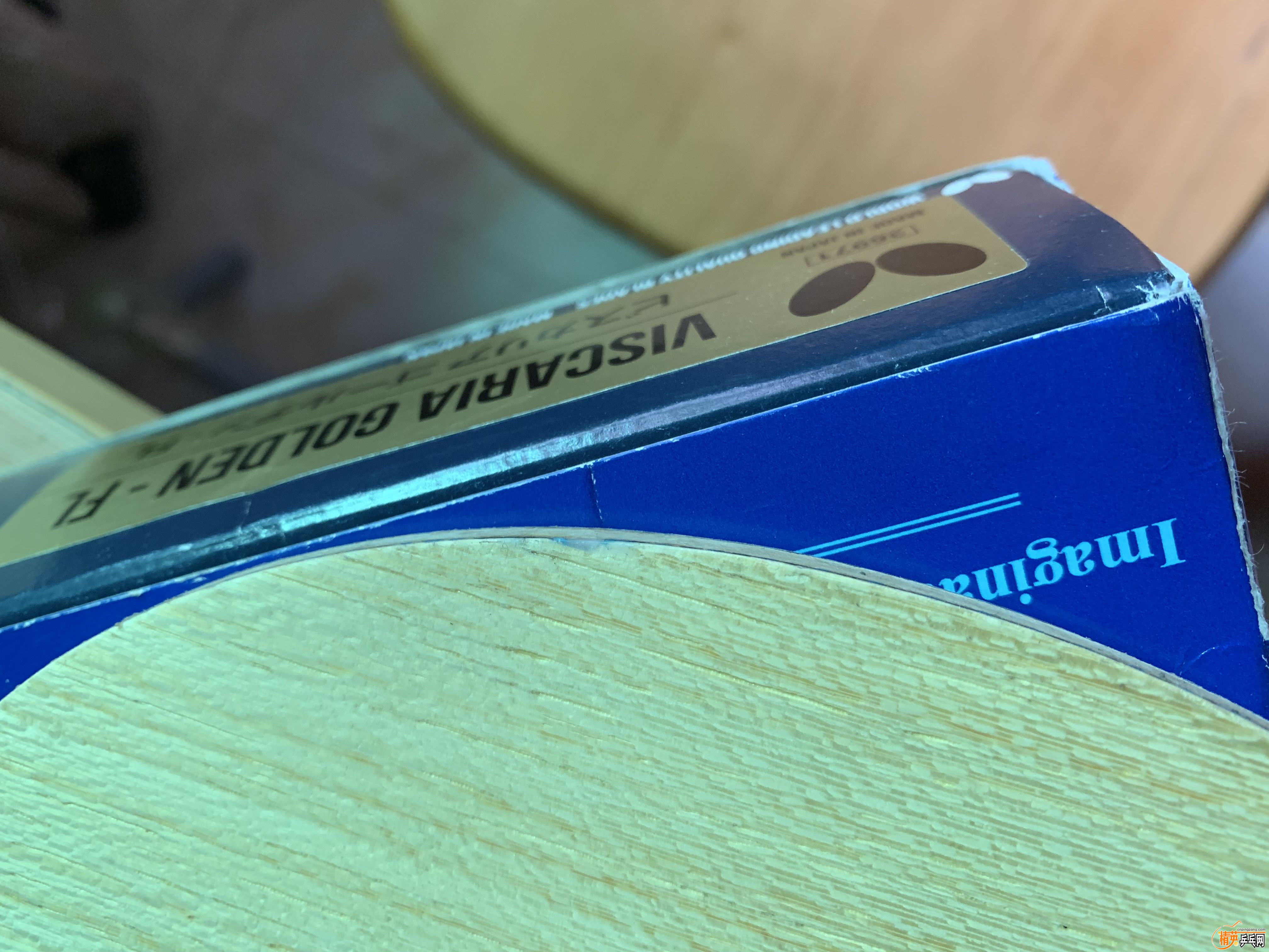 8B734D09-893C-4AD0-B657-E21A9C777E08.jpeg