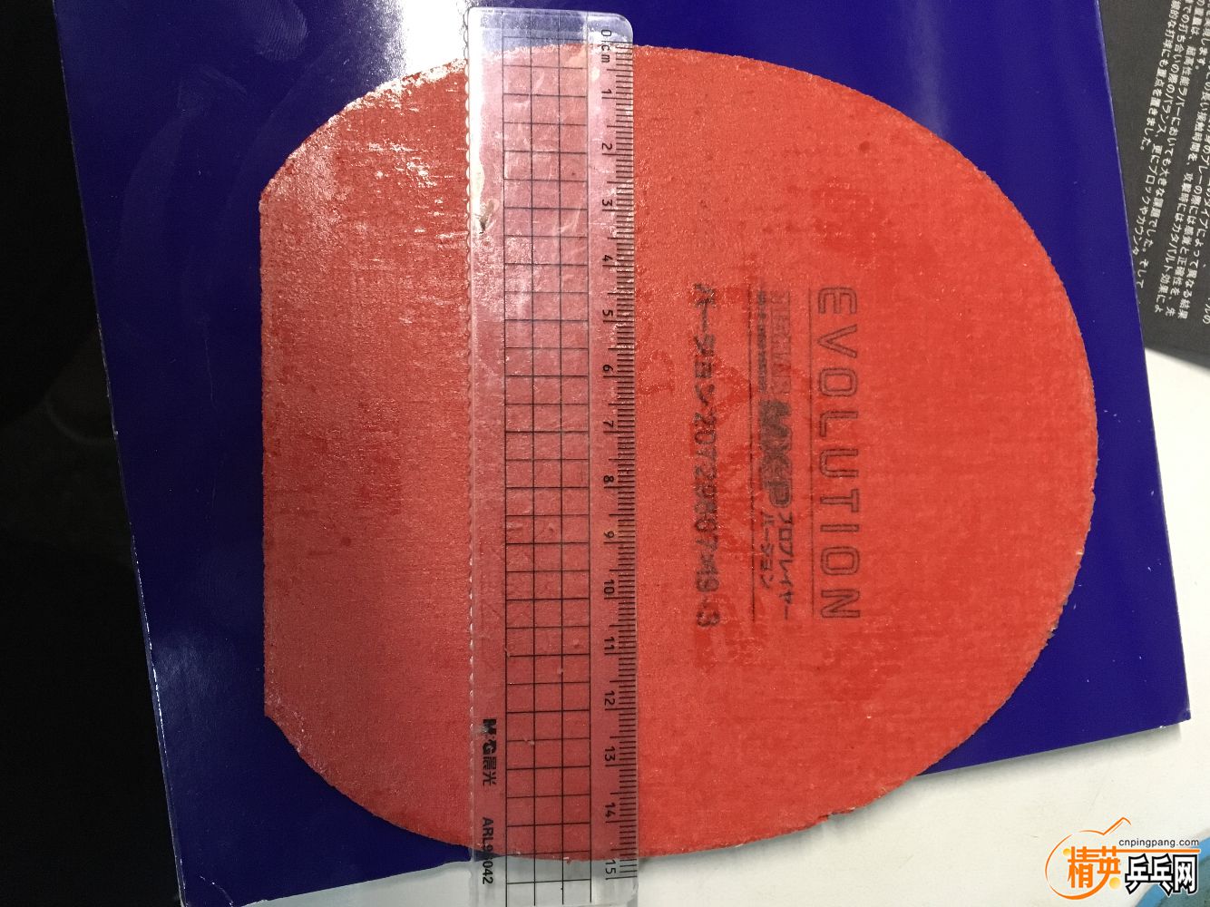 C798DEA6-A512-4A8C-AD0A-BCFE9D70209C.jpeg