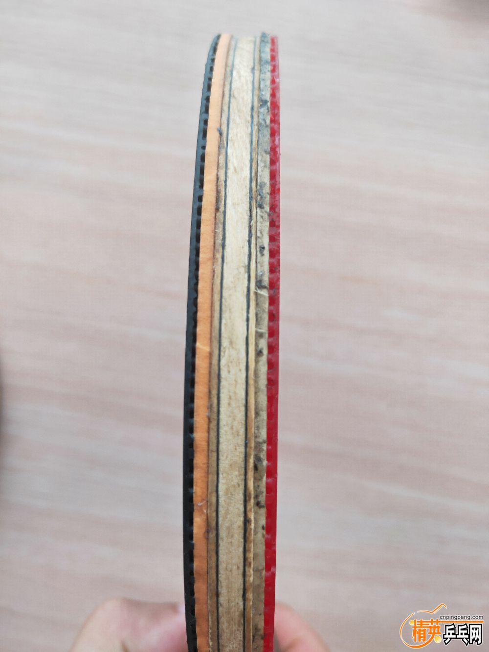 IMG20190728092451.jpg