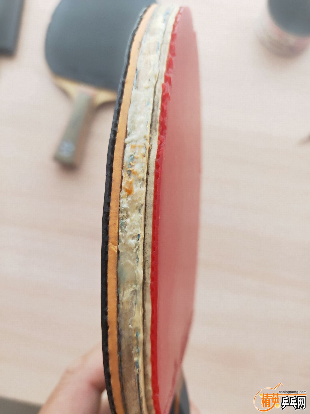 IMG20190728092525.jpg