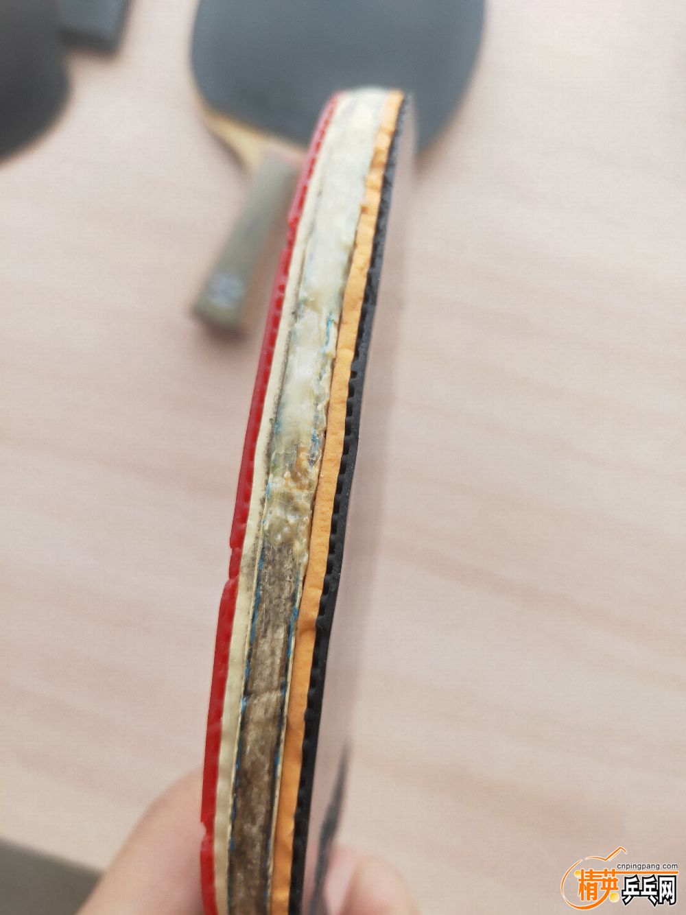 IMG20190728092534.jpg