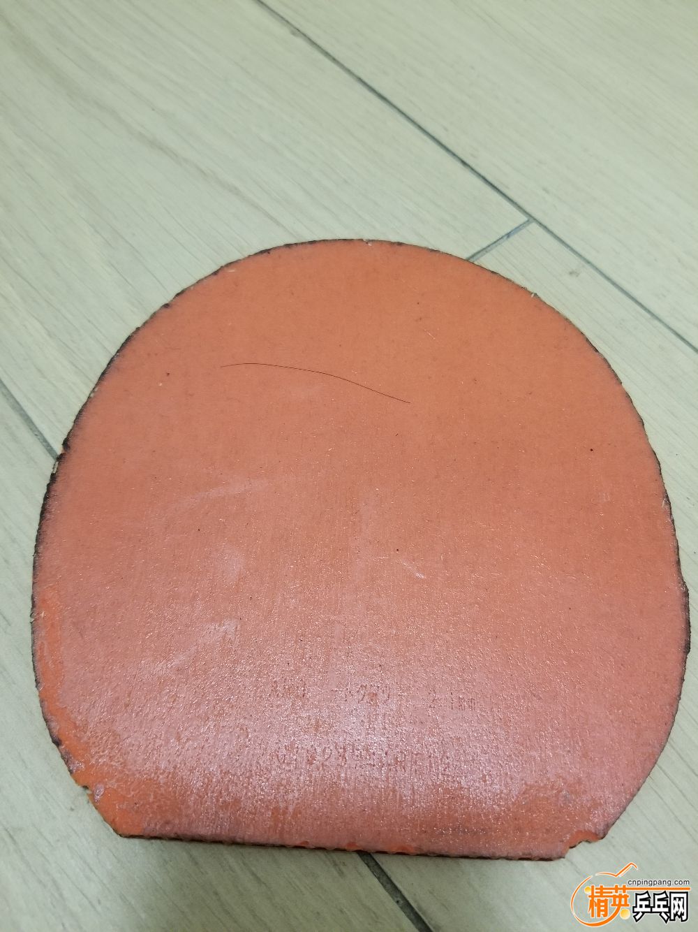 20190801_001059.jpg