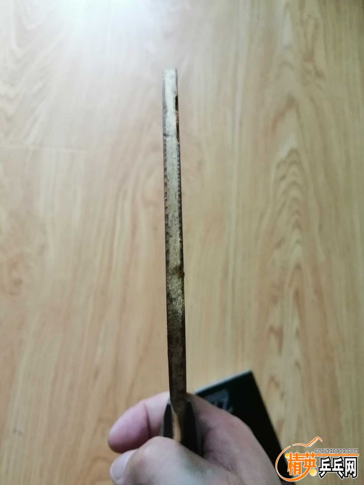 1565912463769.jpg