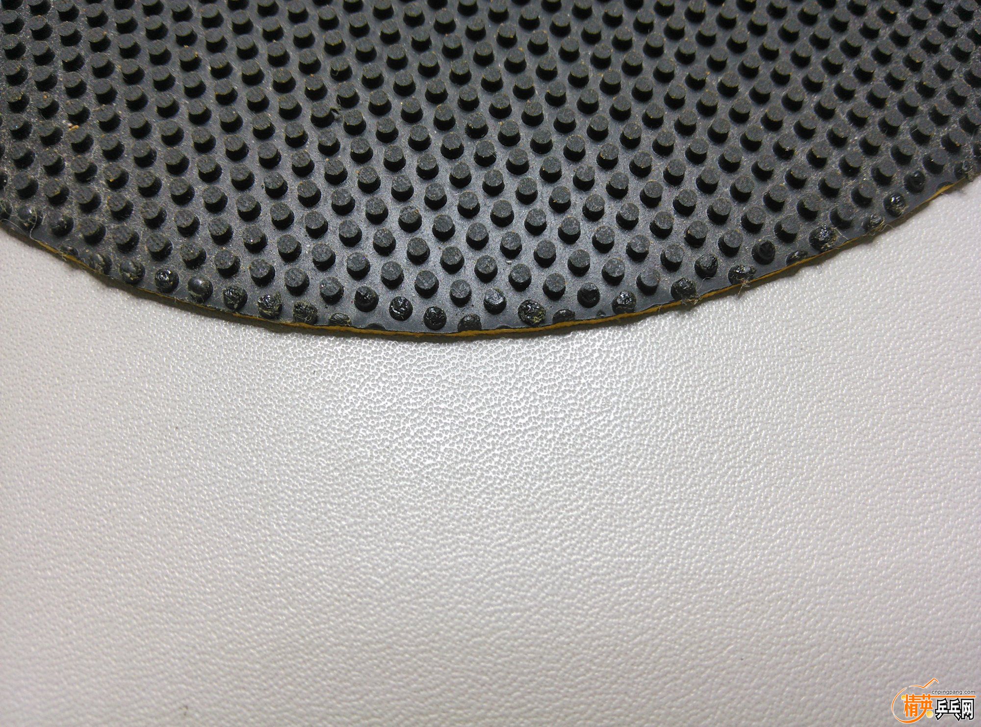 dsc_1326.jpg