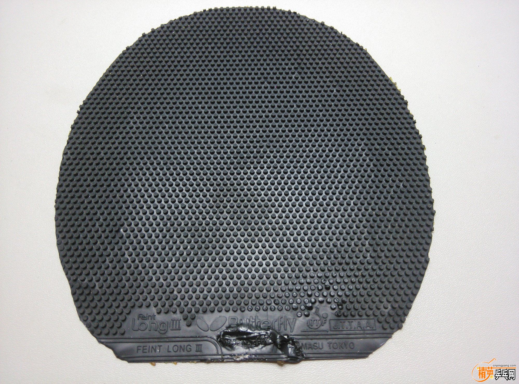 dsc_1362.jpg