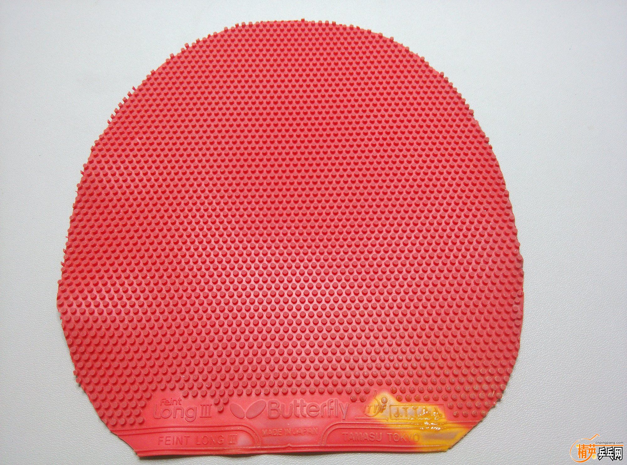 dsc_1372.jpg