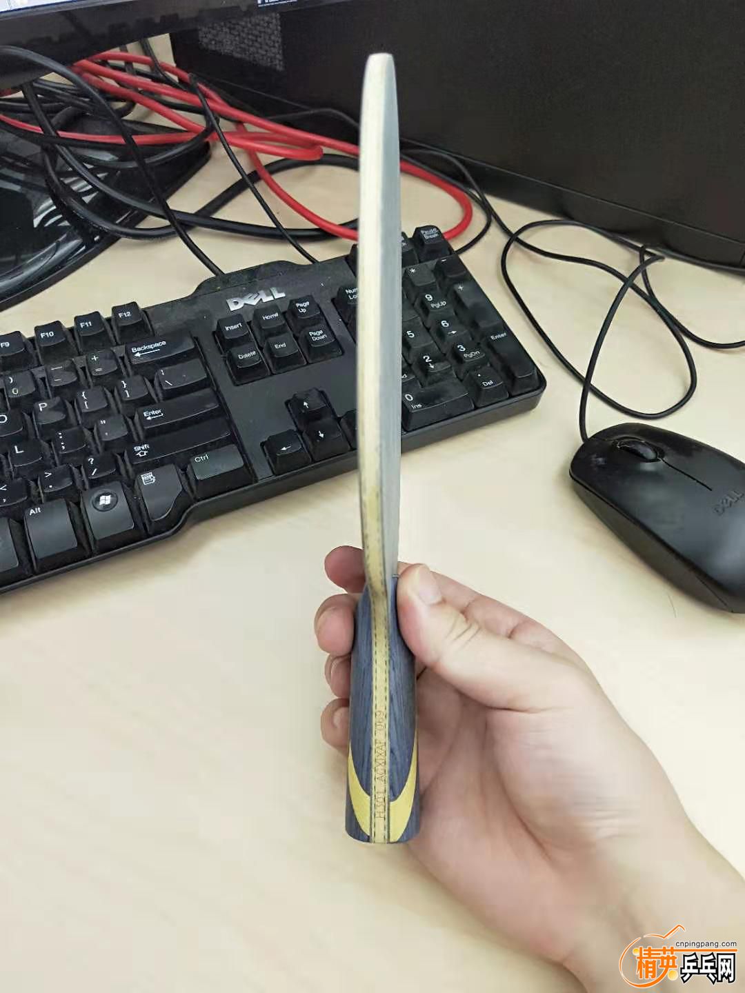3013.jpg
