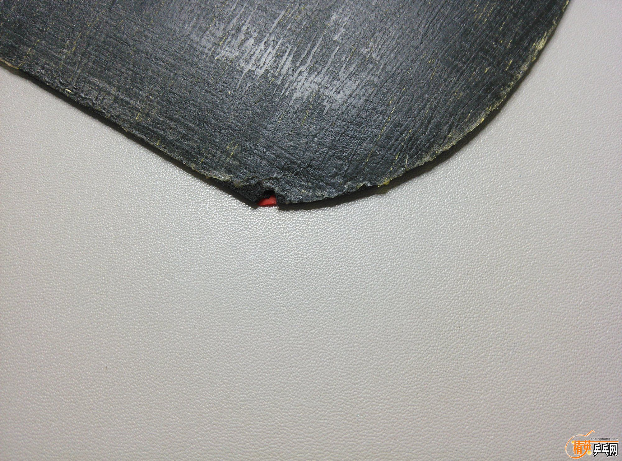 dsc_1282.jpg