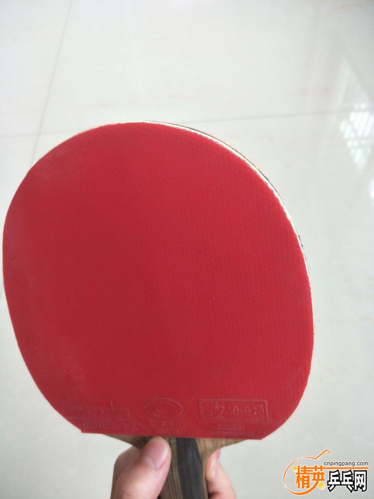 IMG20190830095549.jpg