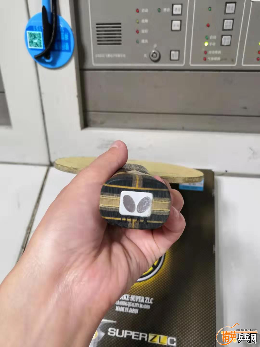 299382027.jpg