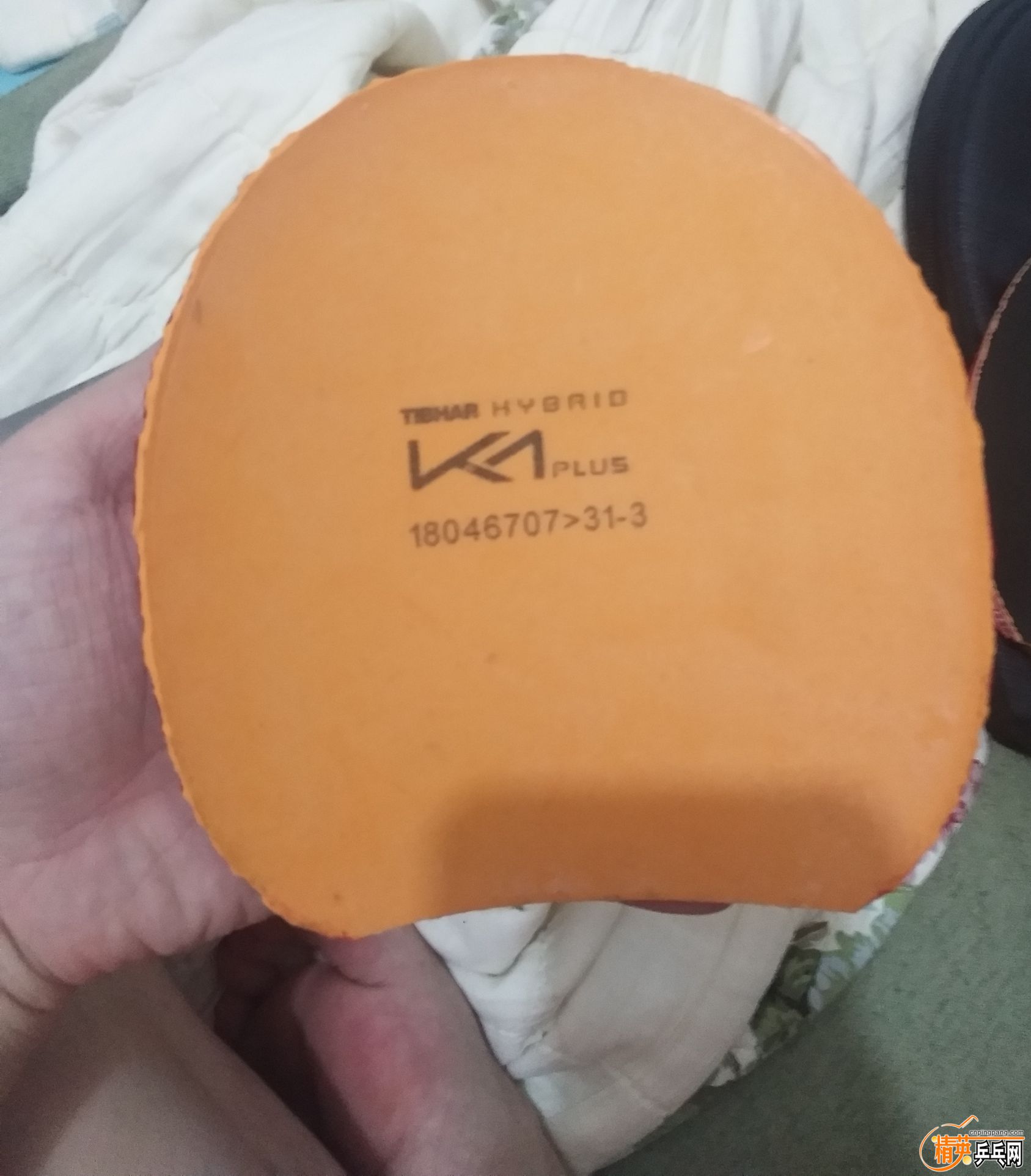qq_pic_merged_1567341709976.jpg
