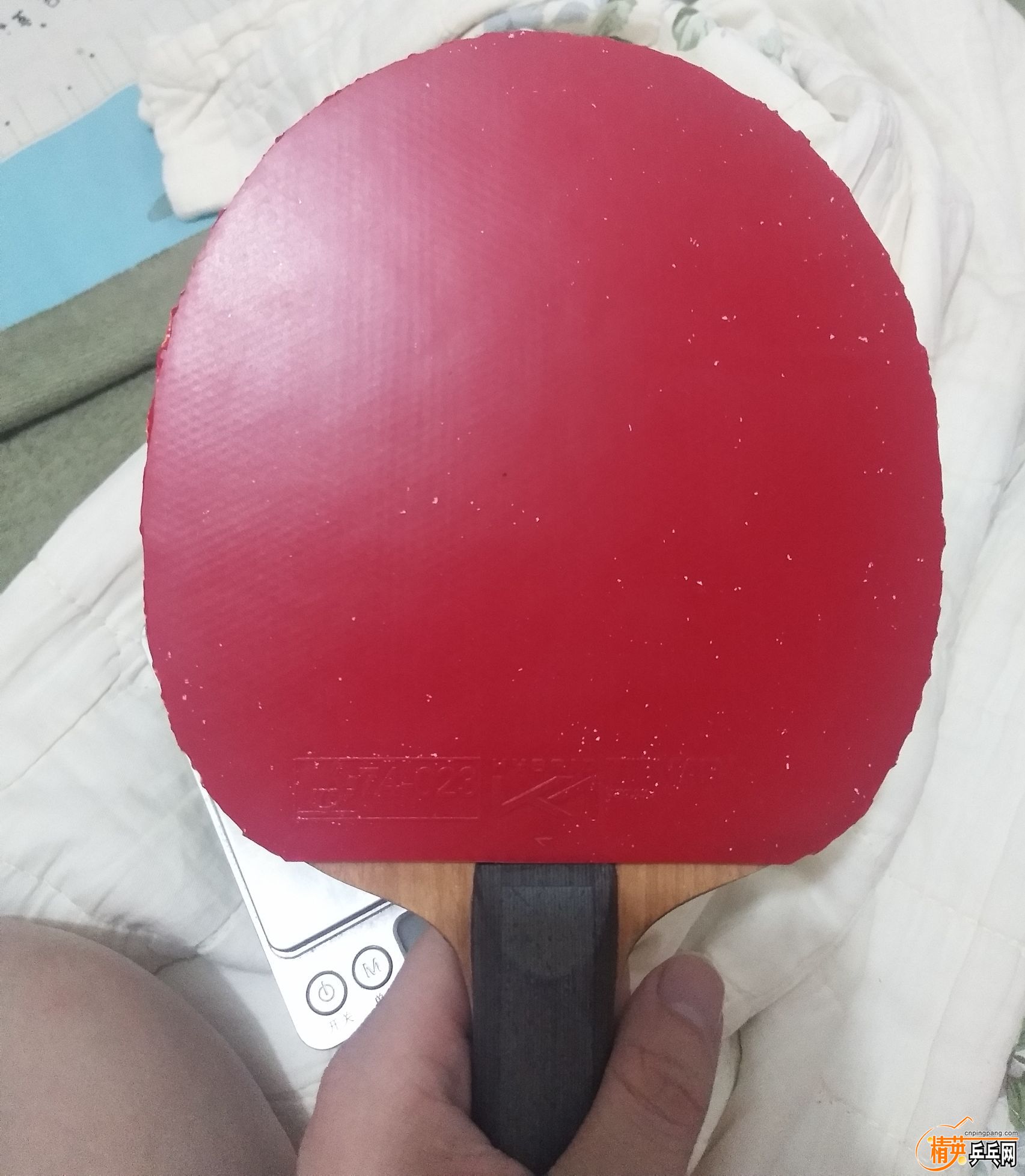 qq_pic_merged_1567341680066.jpg