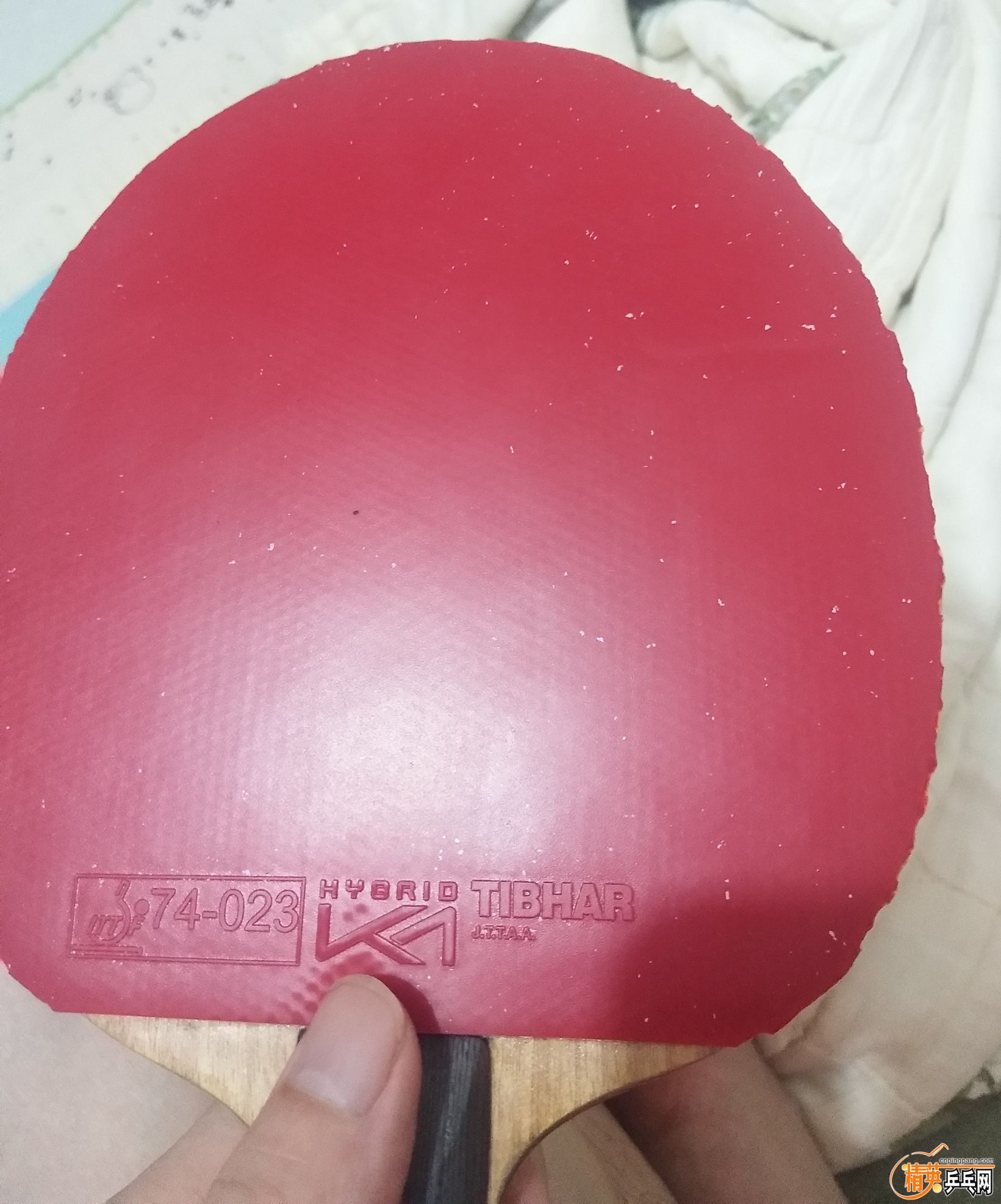 qq_pic_merged_1567341664556.jpg