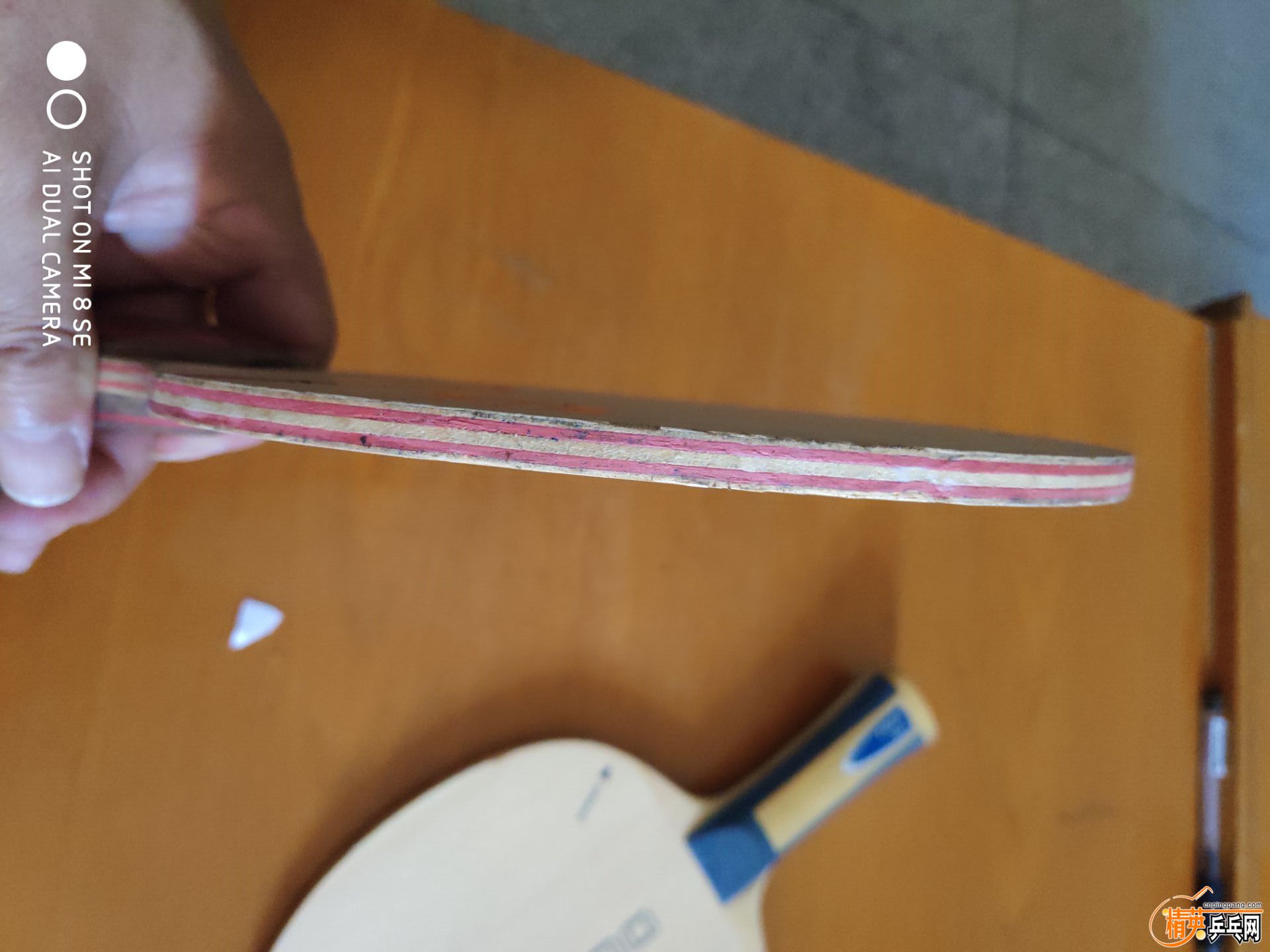 cl5.jpg