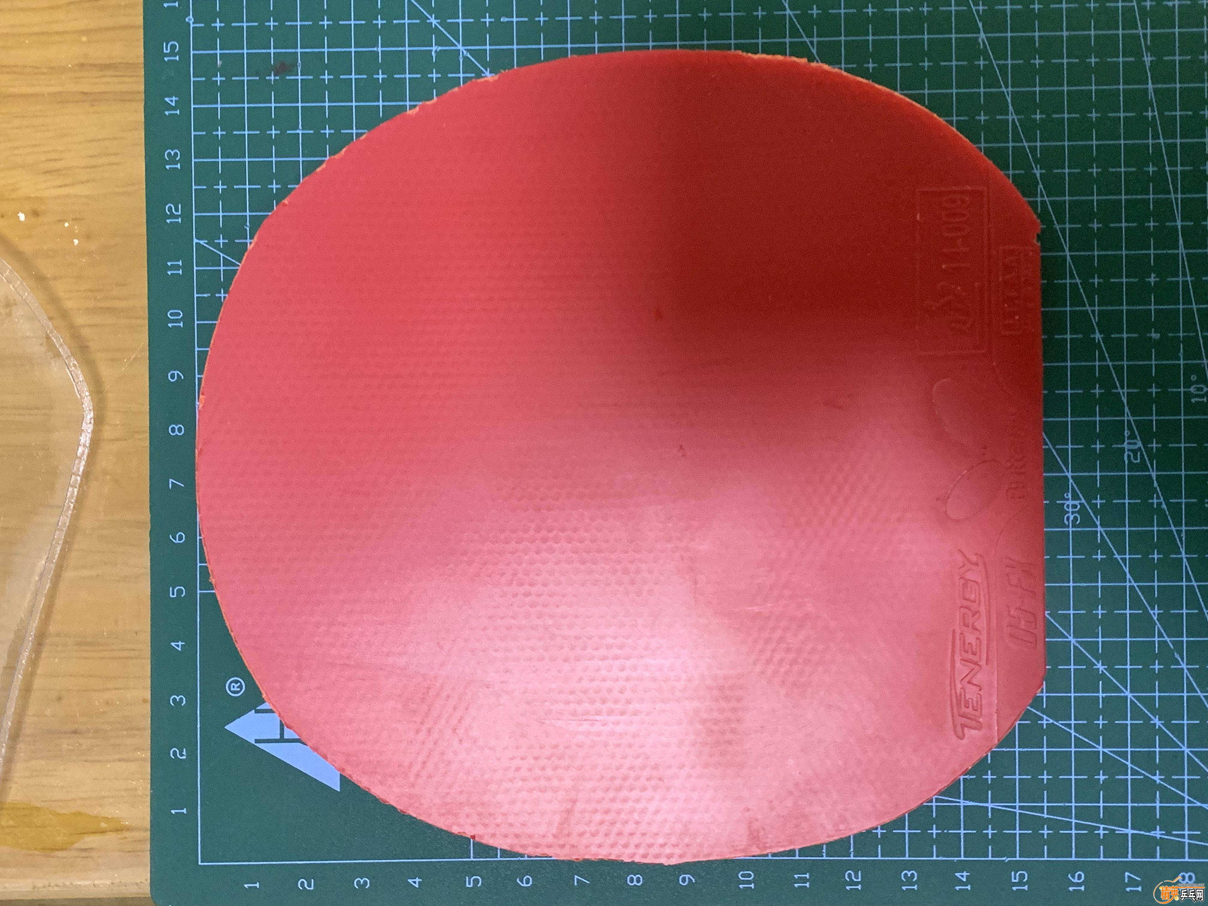87E967B7-3E72-4F9C-8DF7-46E006738B20.jpeg