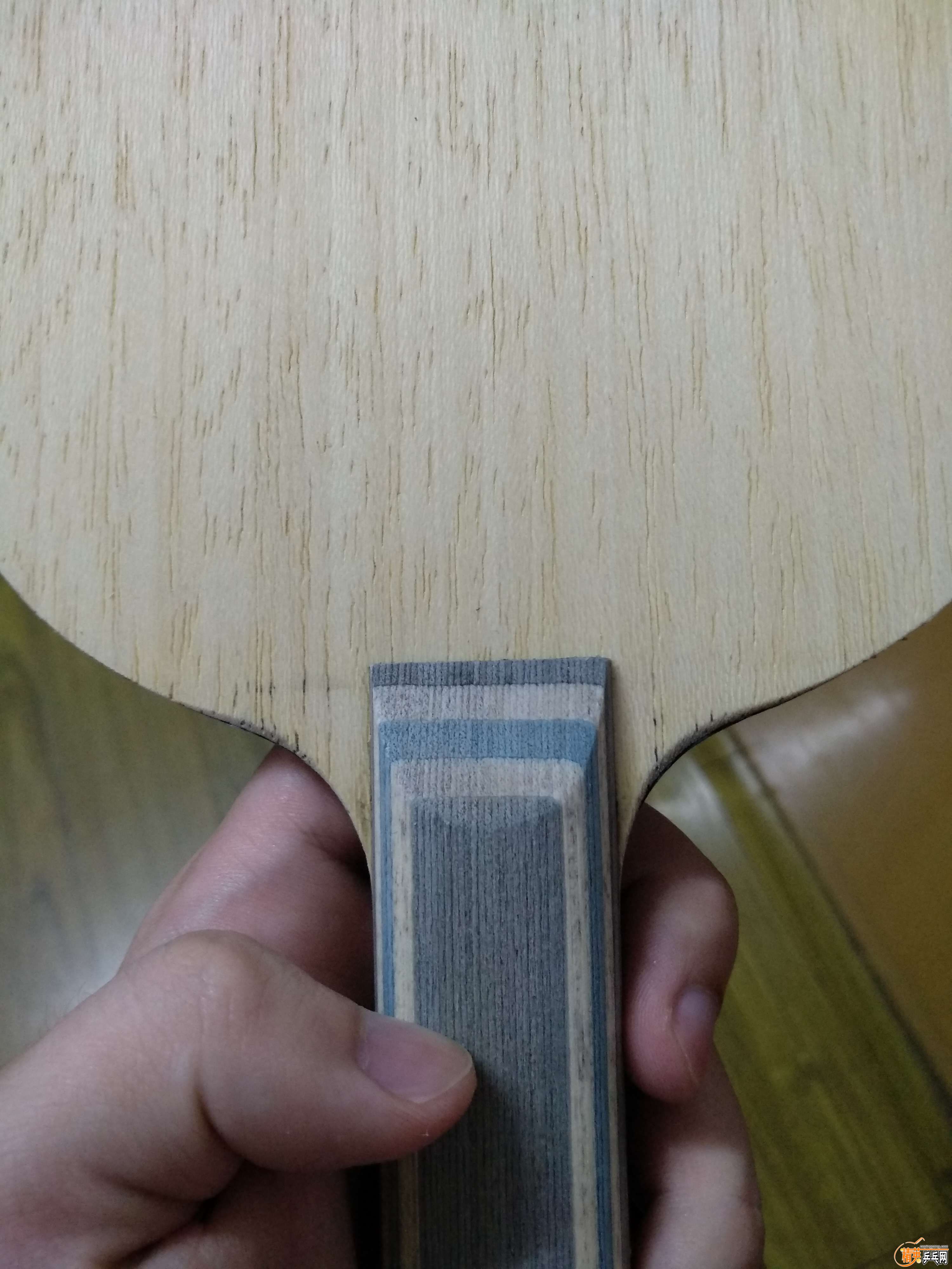 VIS5.jpg