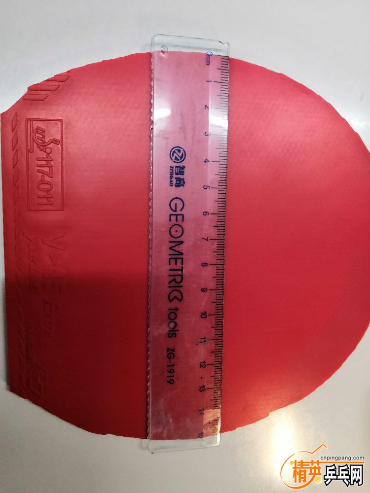 IMG_20191007_122254.jpg