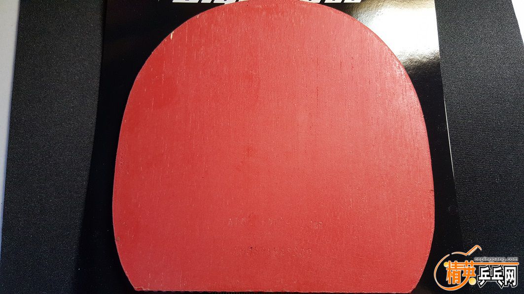 053.jpg
