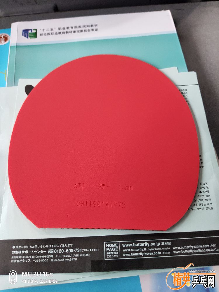 P91012-083329.jpg