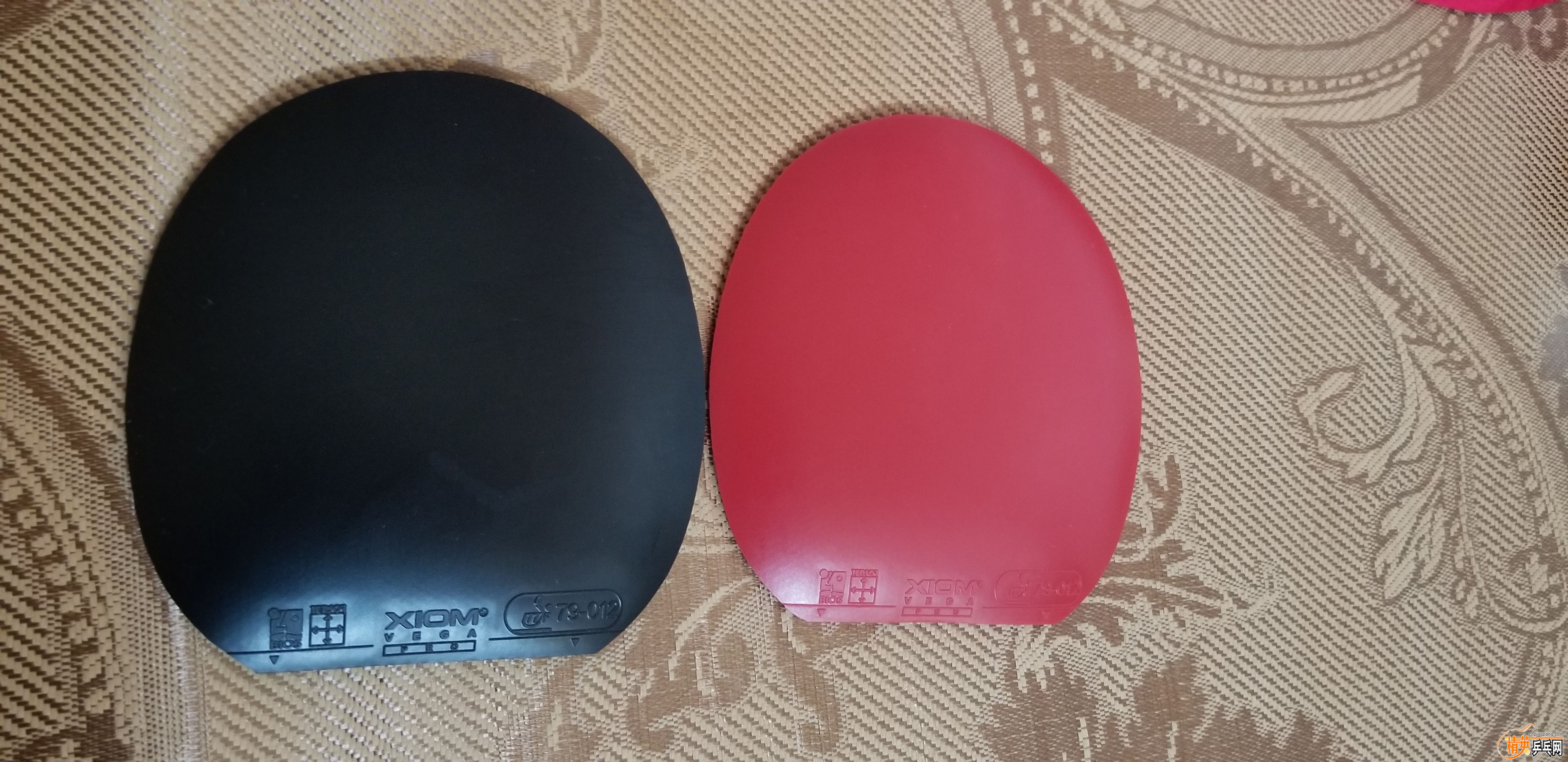 20191015_1300331.jpg