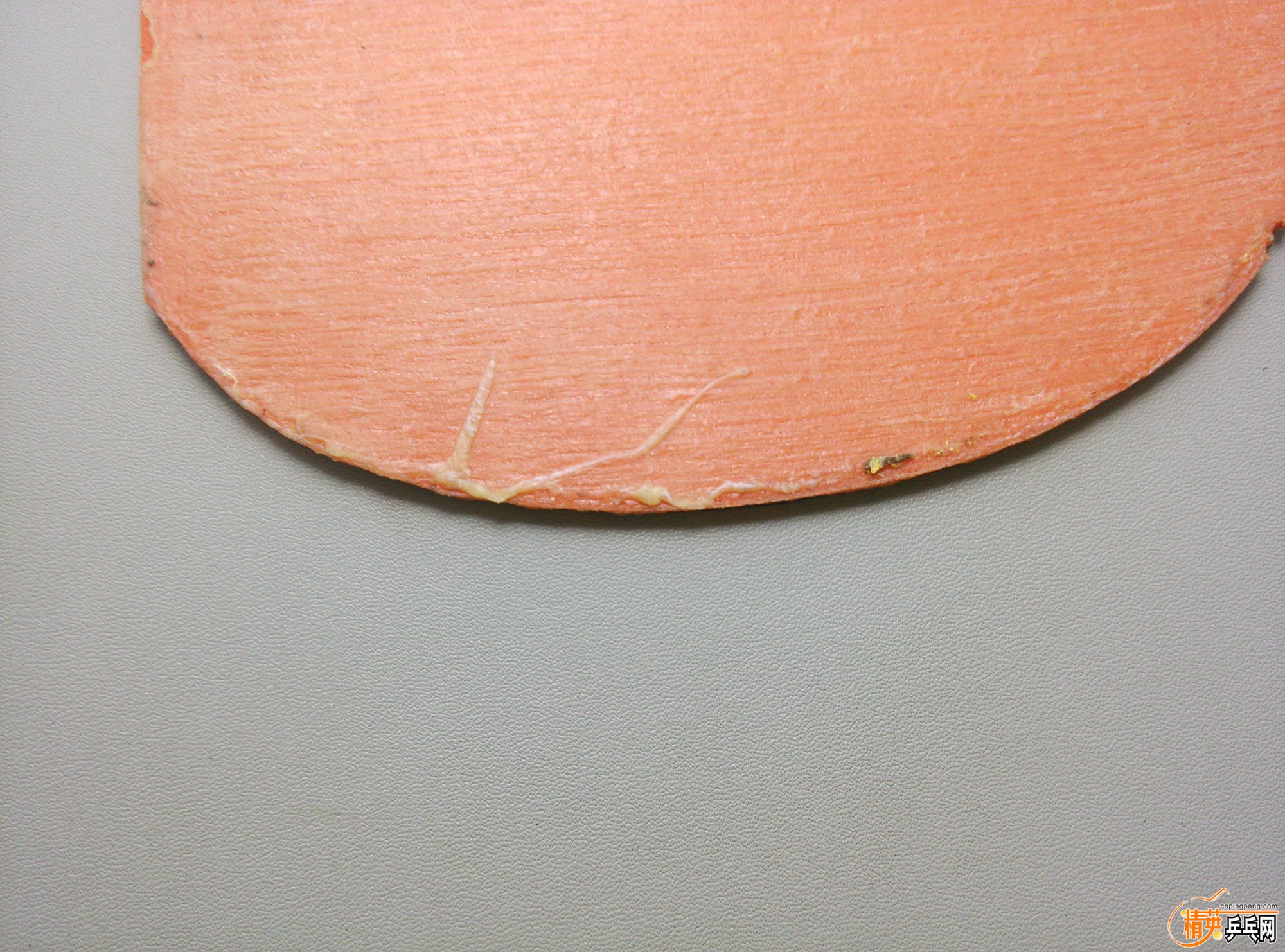 dsc_1409.jpg