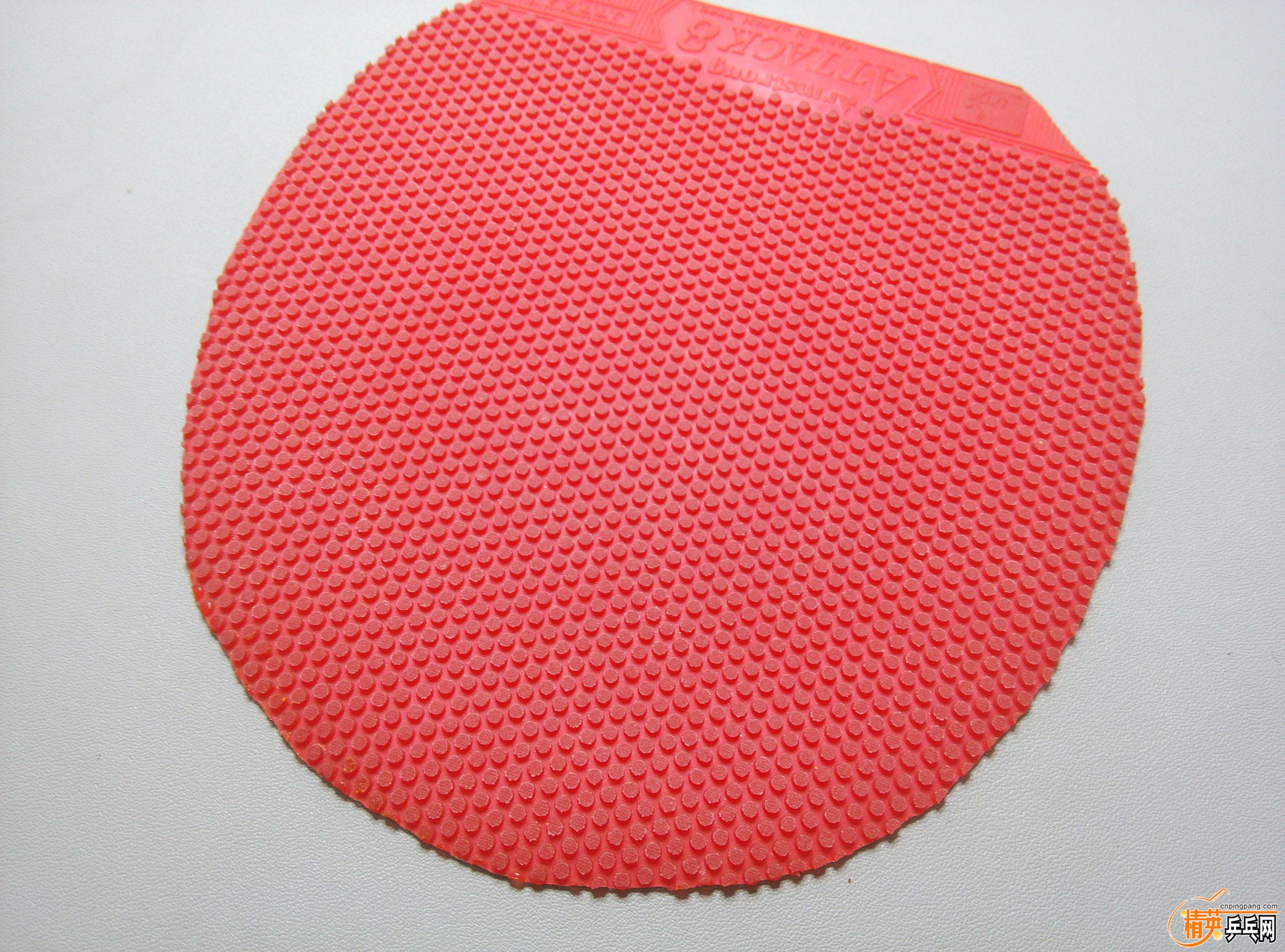 dsc_1472.jpg